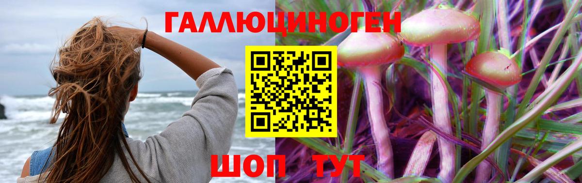 Псилоцибиновые грибы GOLDEN TEACHER  Вход с VPN  Улан-Удэ 
